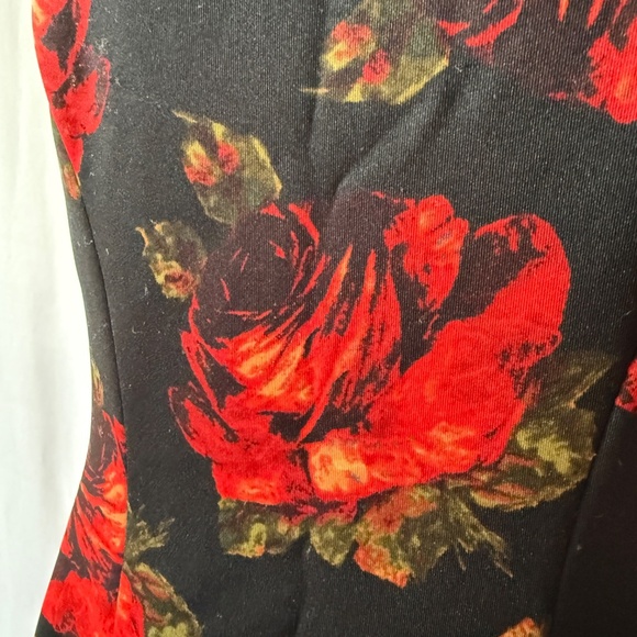 BETSEY JOHNSON DRESS FIT & FLARE FLORAL RETRO Y2K VTG INSPIRED TANGO PARTY 10 - Picture 6 of 12